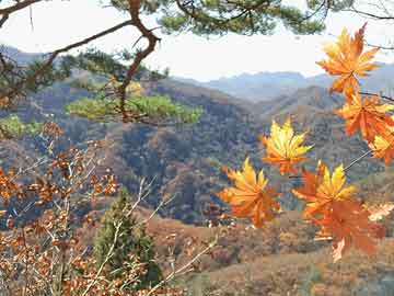 重慶醫(yī)保改革最新消息，邁向更全面、更可持續(xù)的未來(lái)